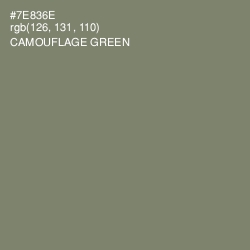 #7E836E - Camouflage Green Color Image